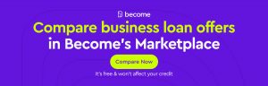 business loan with no credit check